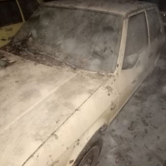 ZASTAVA KORAL 1.1